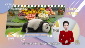 热99在线观看